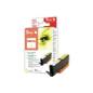 PEACH PI100-166