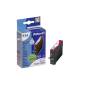 PELIKAN T071340PEL