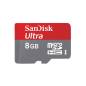 SANDISK 45091