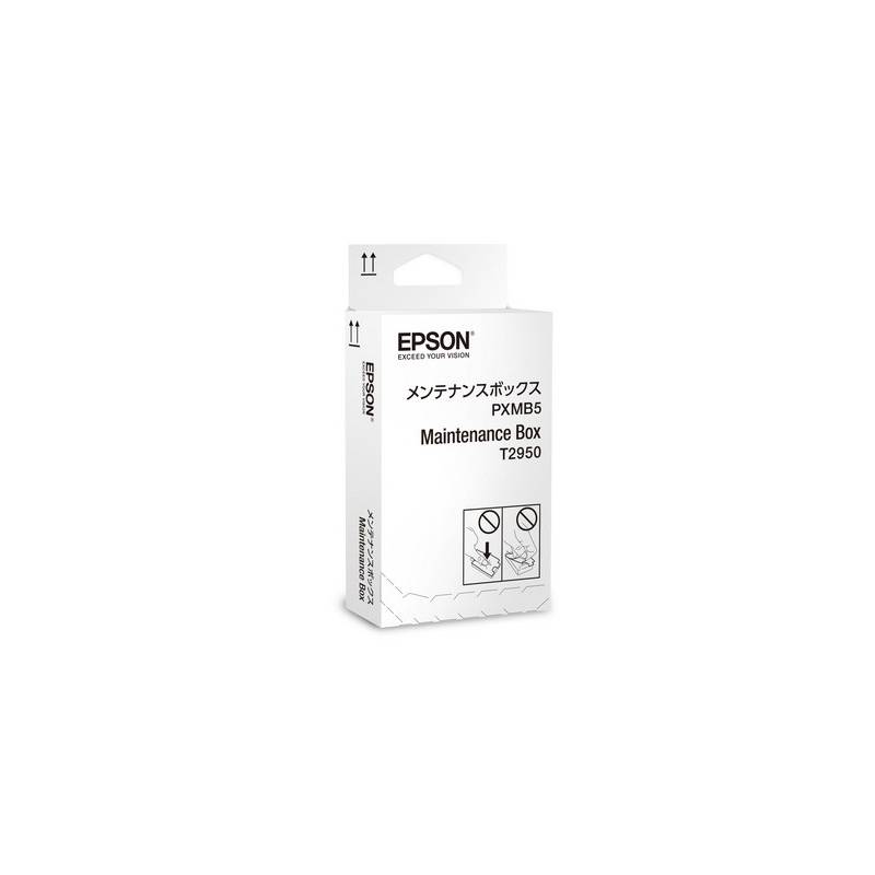EPSON T295000