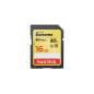 SANDISK 44361