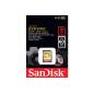 SANDISK 44361