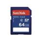 SANDISK 44263