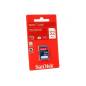 SANDISK 44261