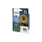 EPSON T018 / T018401 / C13T01840110