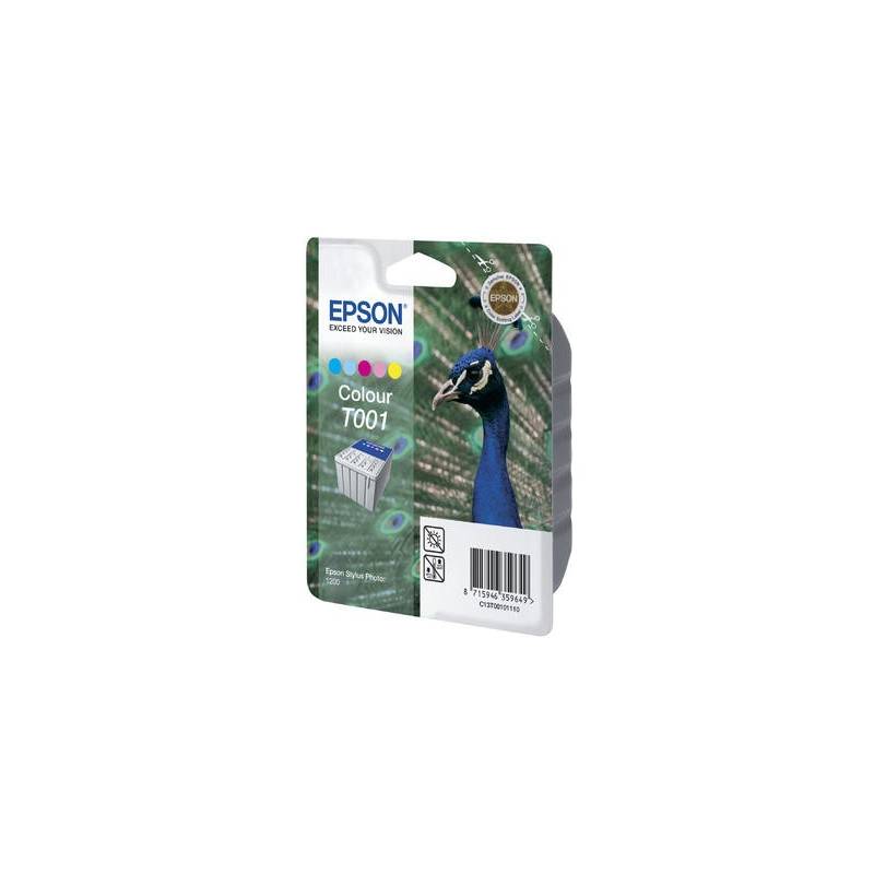 EPSON T001011