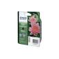 EPSON T013402