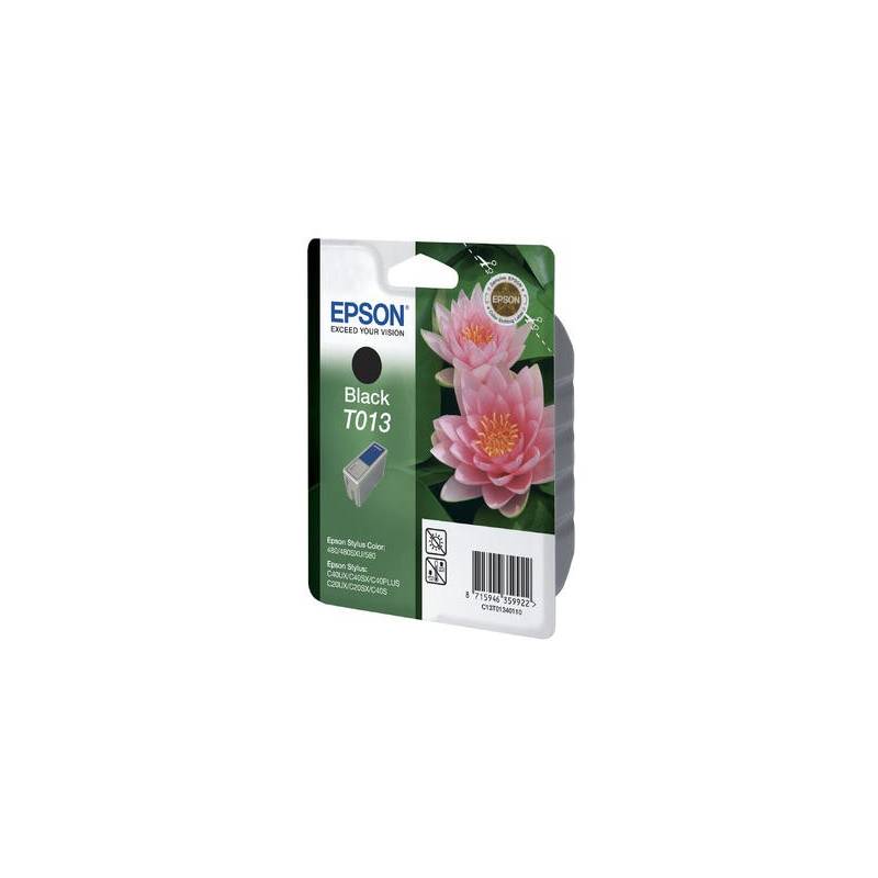 EPSON T013401