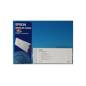 EPSON T409011