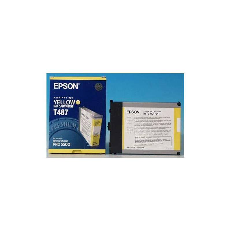 EPSON T487011