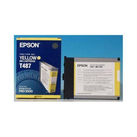 EPSON T487011