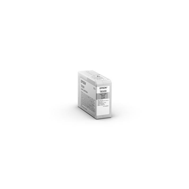 EPSON T850900