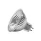 OSRAM 44870 WFL