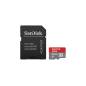 SANDISK 45121