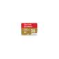 SANDISK 45068