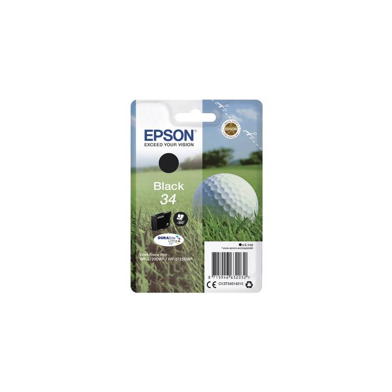 EPSON T053040