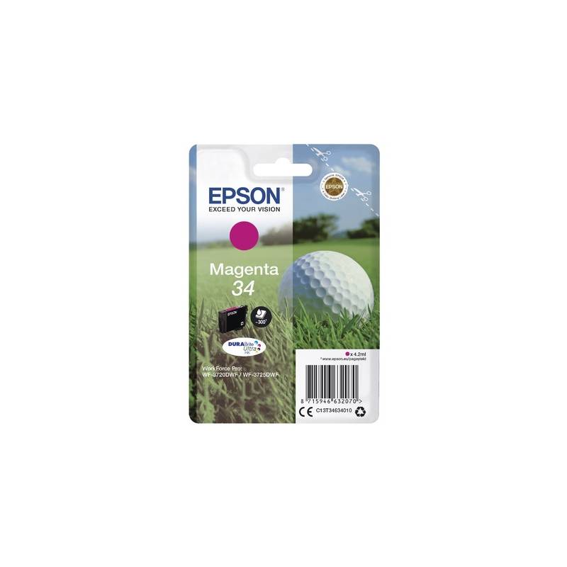 EPSON T053040