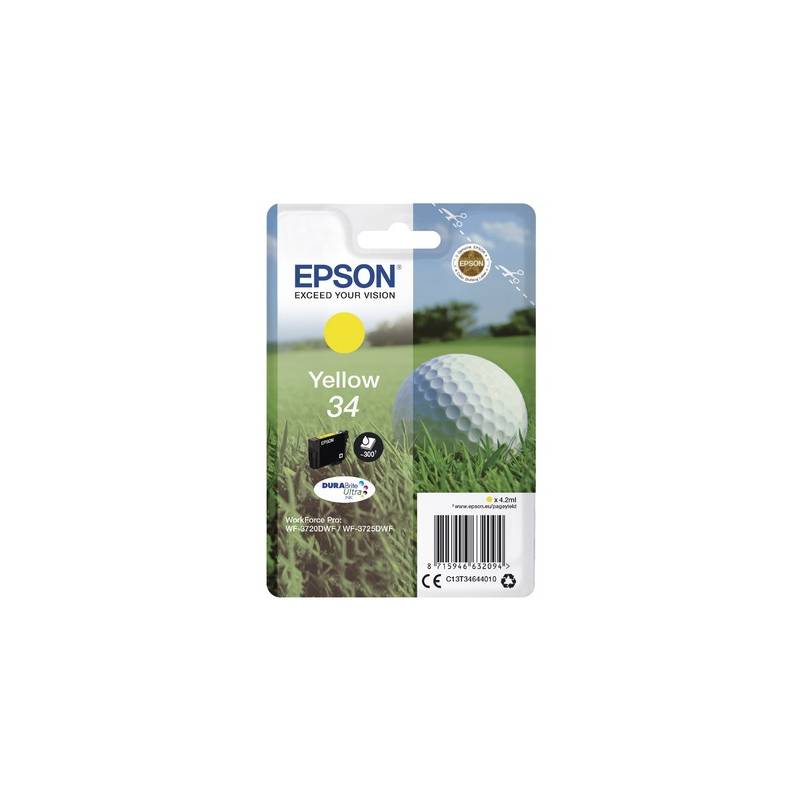 EPSON T053040