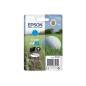 EPSON T053040