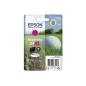 EPSON 34XL / T347340 / C13T34734010