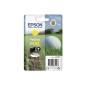 EPSON T053040