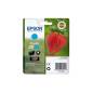 EPSON 29 XL / T299240 / C13T29924012