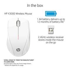 HP X3000 N4G64AA