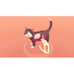 Leap Motion Controller