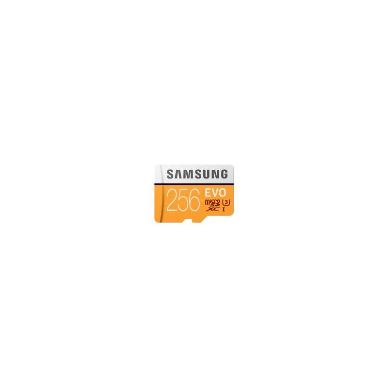 SAMSUNG MEMORY MB-MP256G