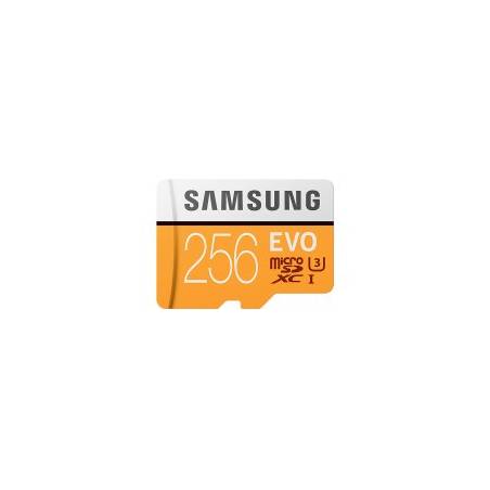 SAMSUNG MEMORY MB-MP256G