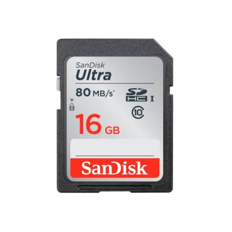 SANDISK 80029