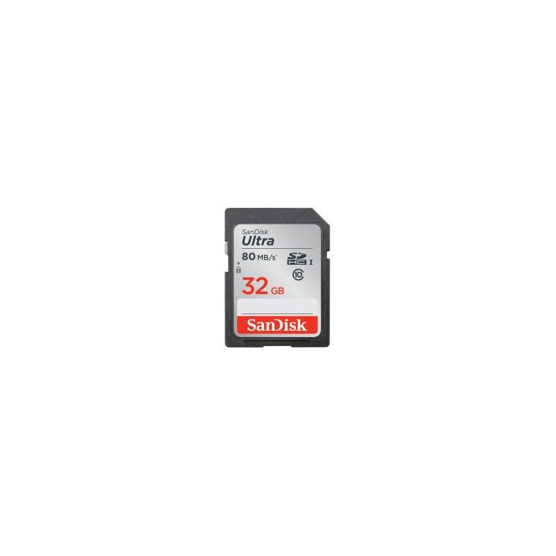 SANDISK 80031