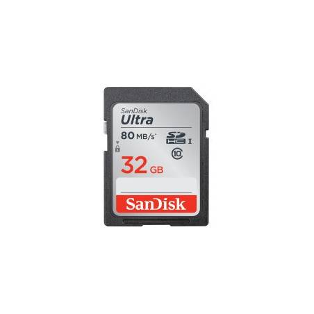 SANDISK 80031