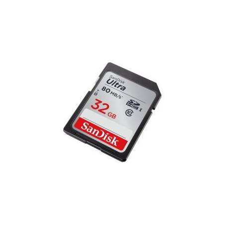 SANDISK 80031