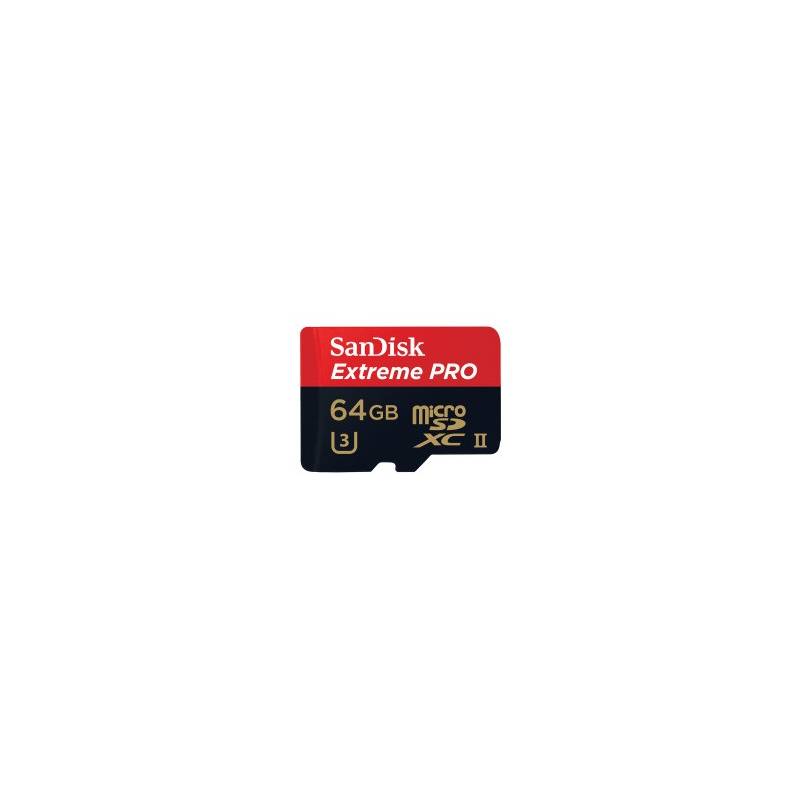 SANDISK 45130