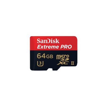 SANDISK 45130