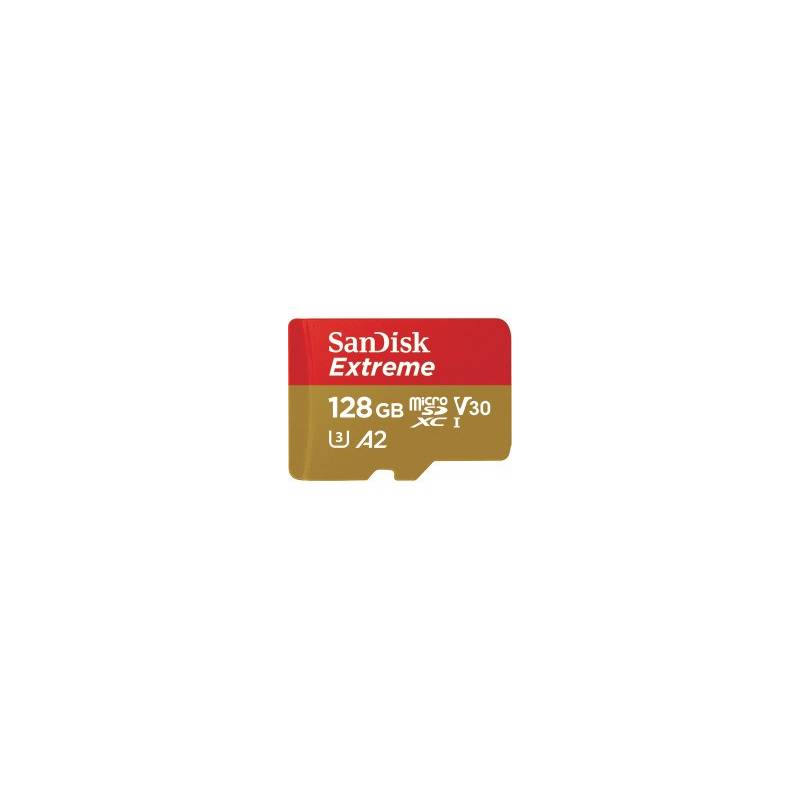 SANDISK 130667