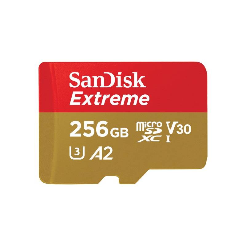 SANDISK 130668