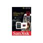 SANDISK 130670