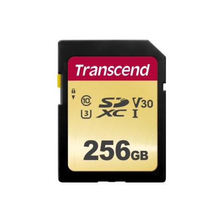 TRANSCEND TS256GSDC