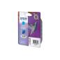 EPSON T080240
