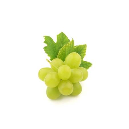 FIZZY 130358