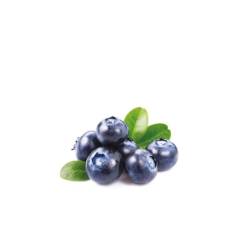 FIZZY 130353