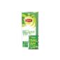 LIPTON 590417