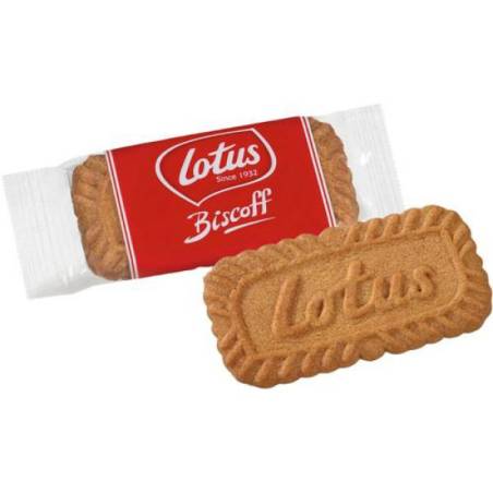 LOTUS Biscott 390550
