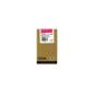 EPSON T602300