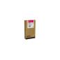 EPSON T603300