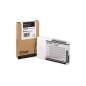 EPSON T613800