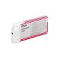 EPSON T606300