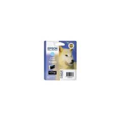 EPSON T096540